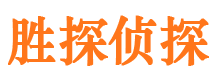 陈仓侦探公司